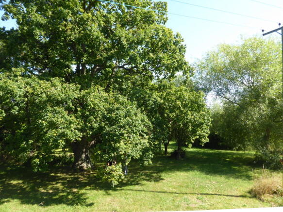 Grounds