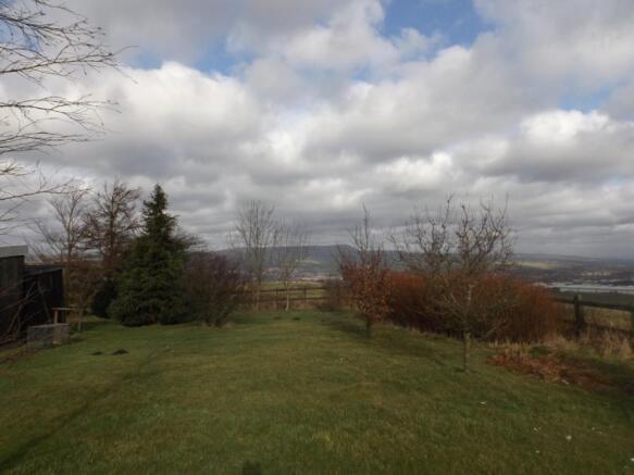 Garden and View