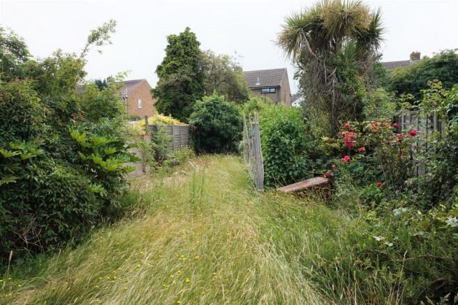 Garden.JPG