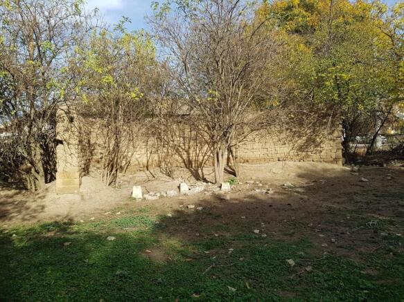 A ruined stone wall partially covered by leafless trees and surrounded by green grass