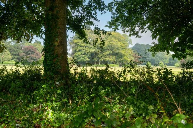 Grounds
