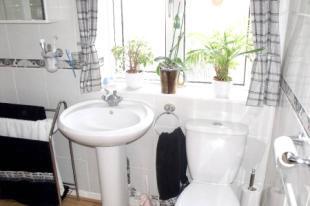 White Suite