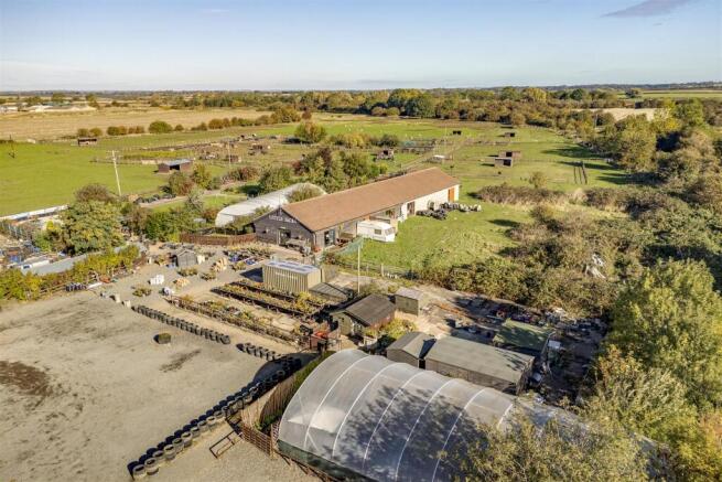 Little Jacks PH-4.jpg