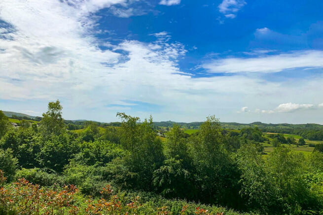 View from Bedroom...
