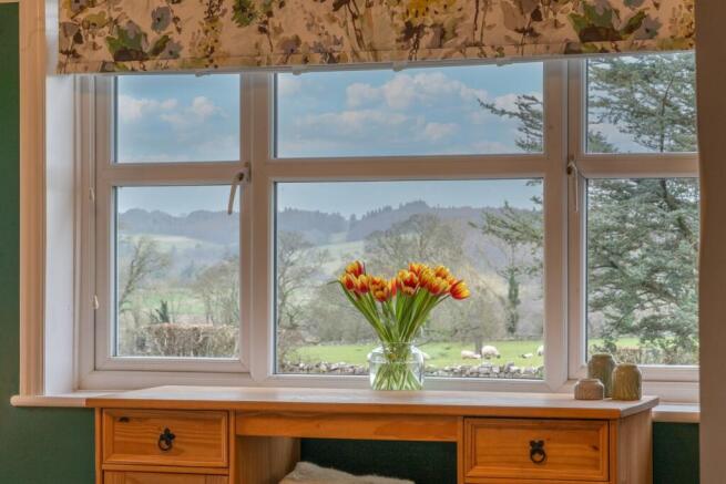 Where the views are divine 