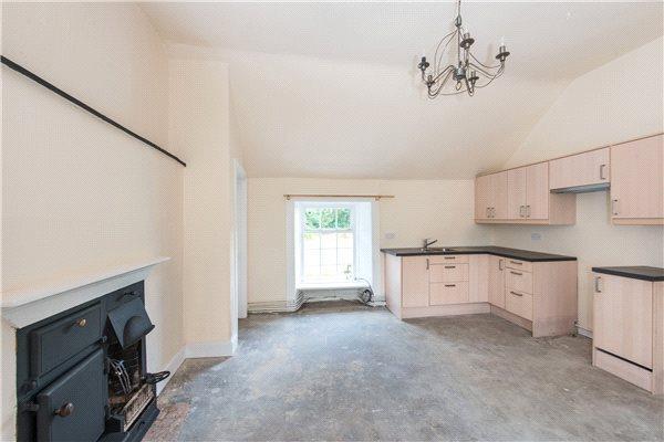 Living/Kitchen Area