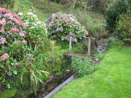 Garden Stream