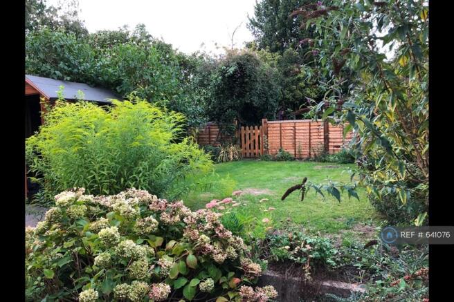 Back Garden