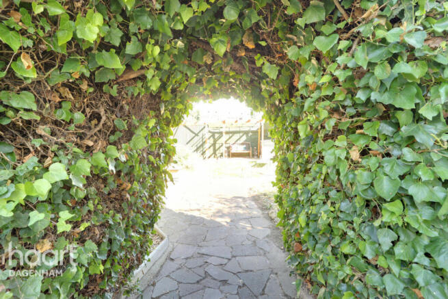 Photo 13
