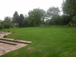 Photo 26