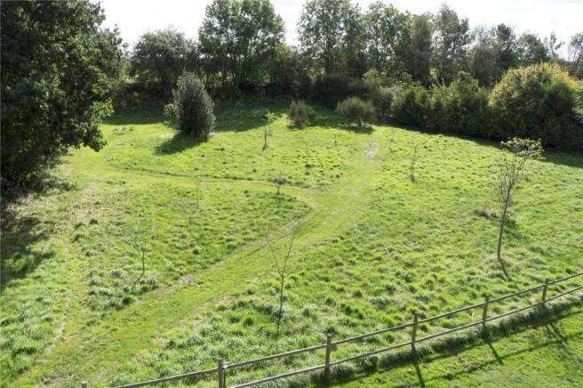 Orchard/Paddock