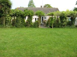 Garden 4
