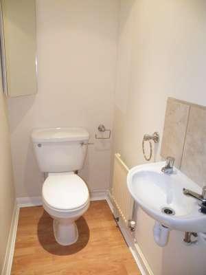 DS Toilet