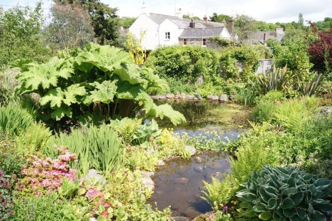 Pond