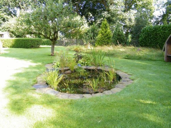 pond