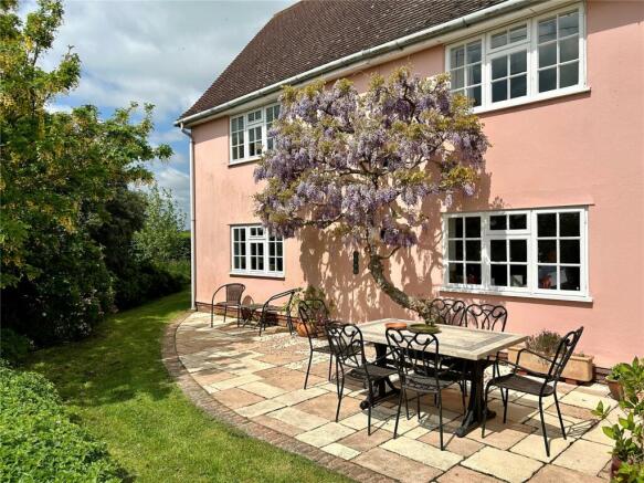 Wisteria