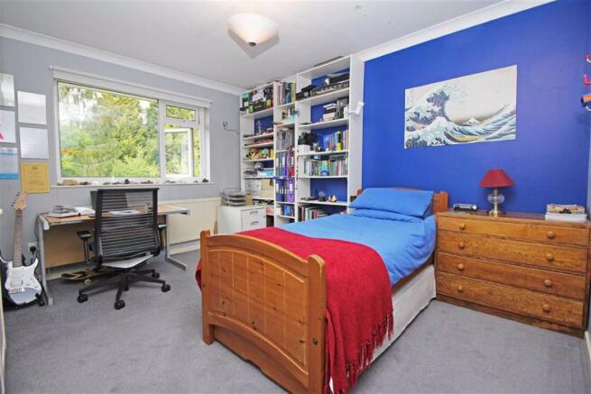 Photo 12