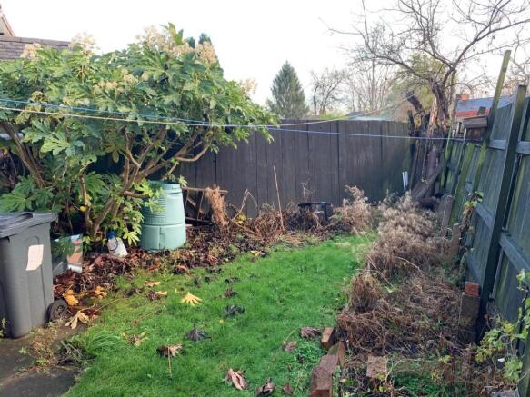 Garden.jpg