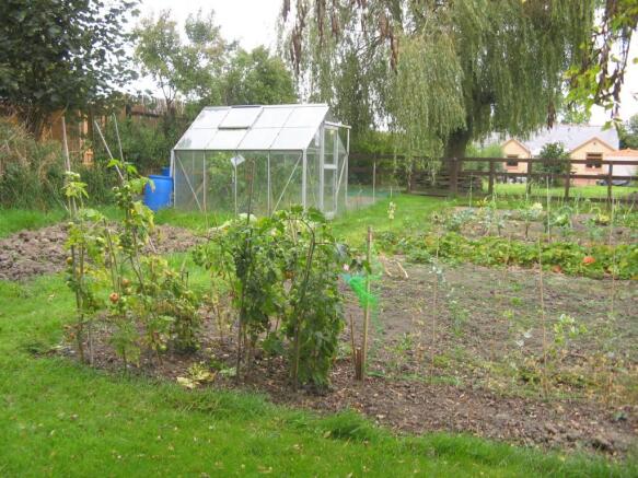 Vegetable Plot