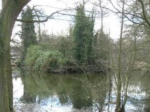 Village Pond