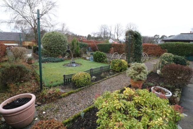 garden 2.JPG