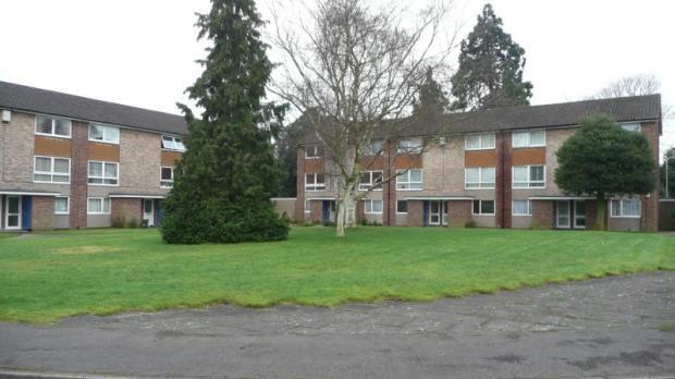Communal Gardens