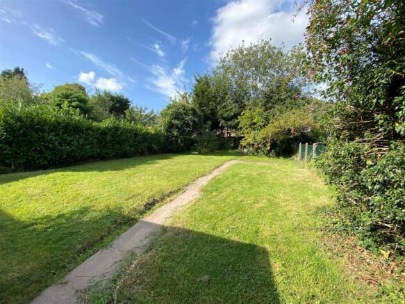 44 Albert Road garden.jpg