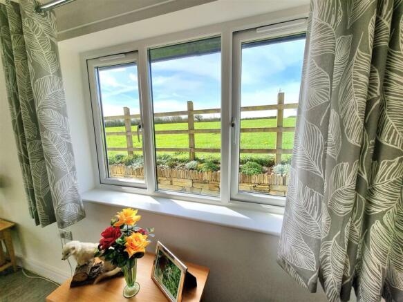 Window View.jpg