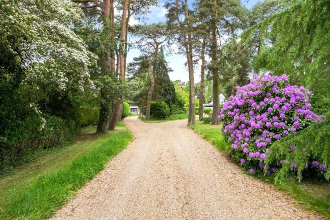 Driveway