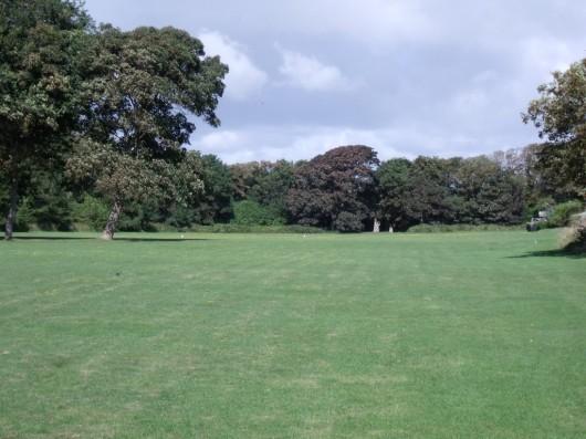 Rear Paddock