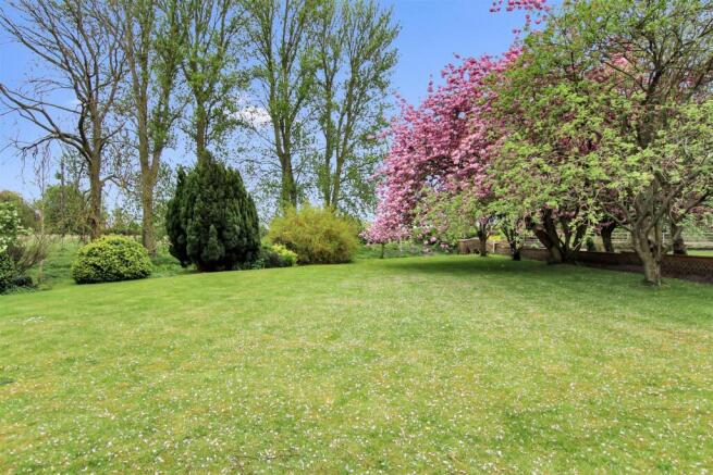 Garden 1 (1).JPG