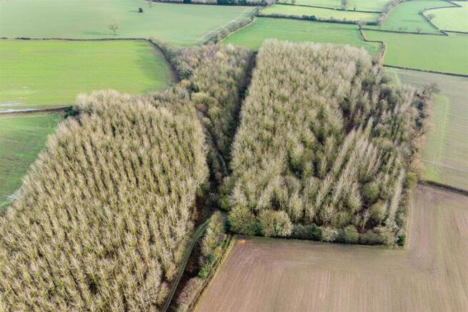 Woodland to the South of Main St Swepstone