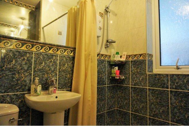 Downstairs Shower