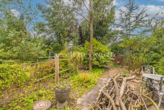 Rear Garden image 3