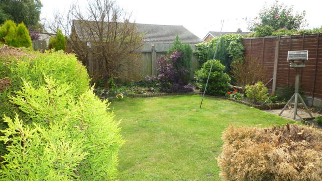 Photo 31