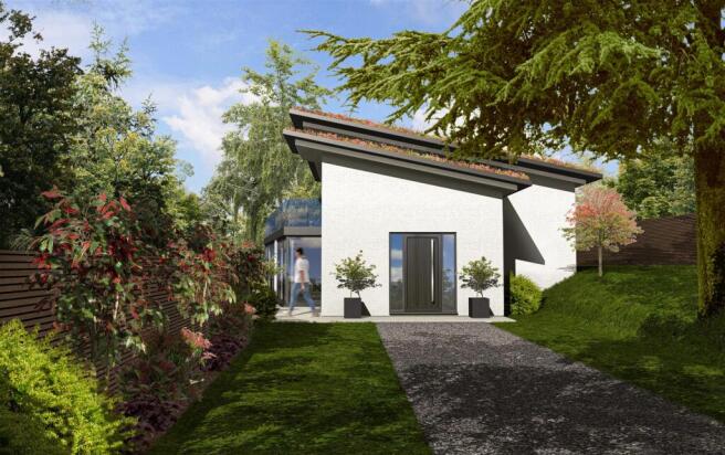 21Maple_B_final 2.jpeg