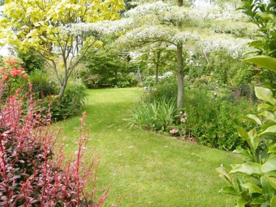 Garden 2