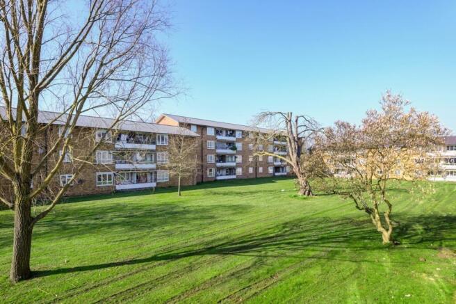 blackthorn court ...