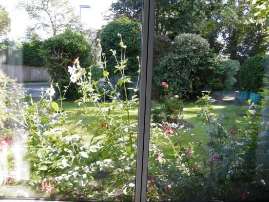 View From Lounge
