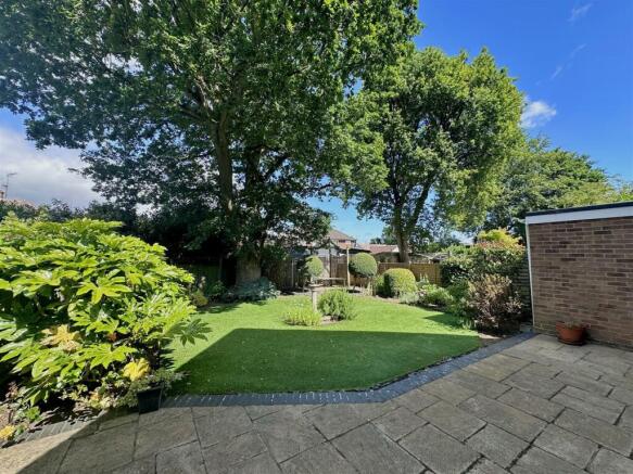 Patio Area