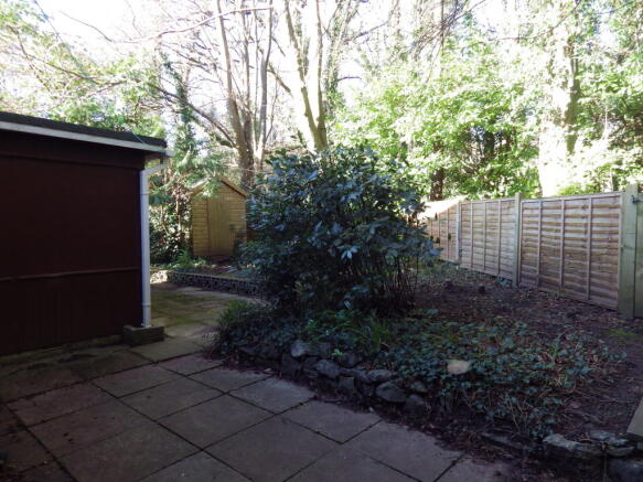 Photo 15