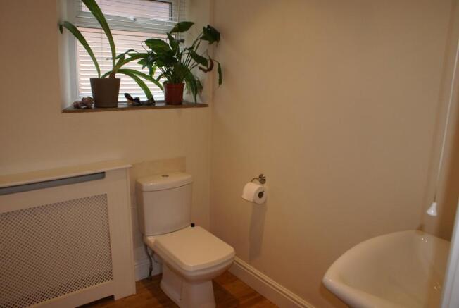 Photo 16