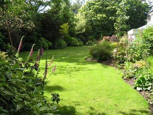 THE GROUNDS