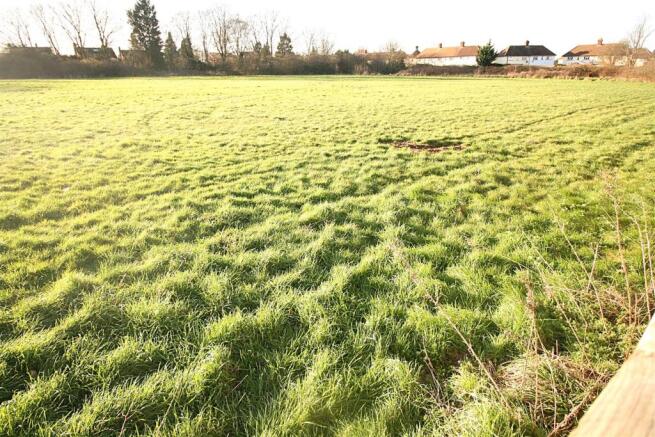 Green space.jpg