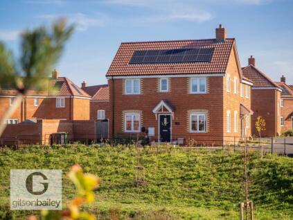 Palgrave Road, Postwick