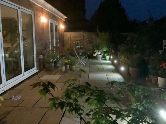 Night Garden Shot.jpg