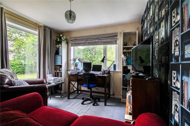 Study Area