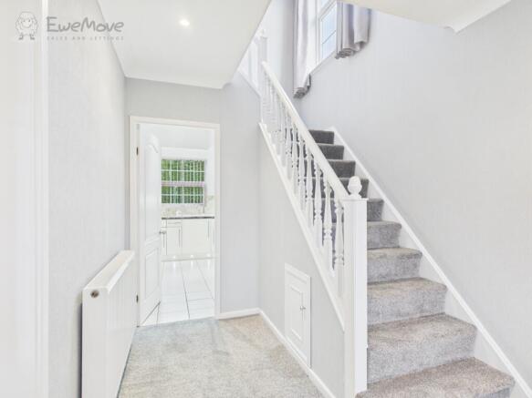 CAM05065G0-PR0019-STILL018