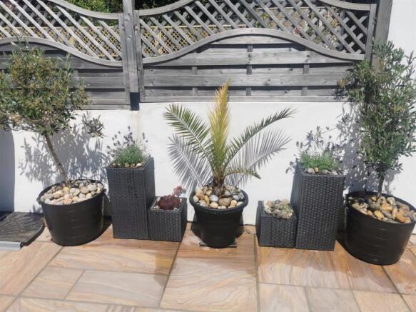 Garden 3.jpg