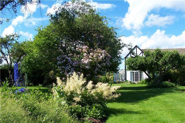 Garden in Bloom